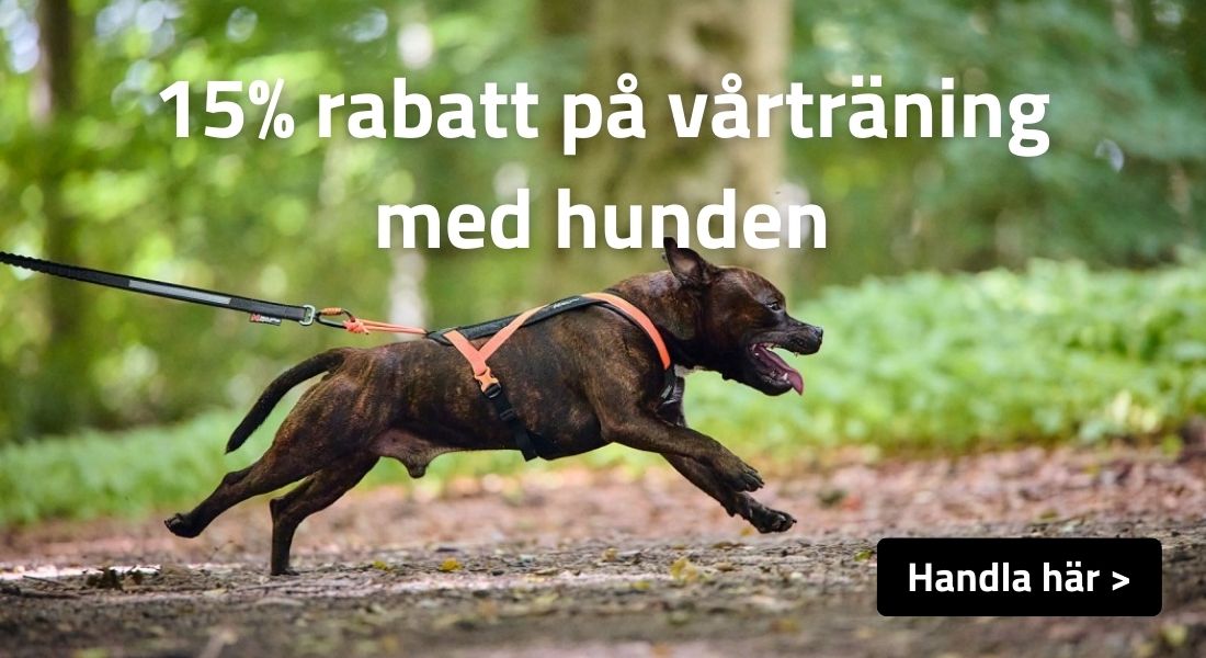 15% på vårträning med hunden