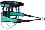 CaniX belt 2.0 Aqua/Pink