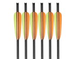 EK Carbonpilar 30" 6-pack